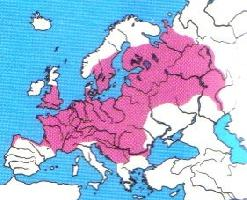 Foto: European bullhead - distribuzione