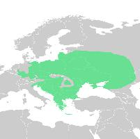 Foto: European green toad - distribuzione