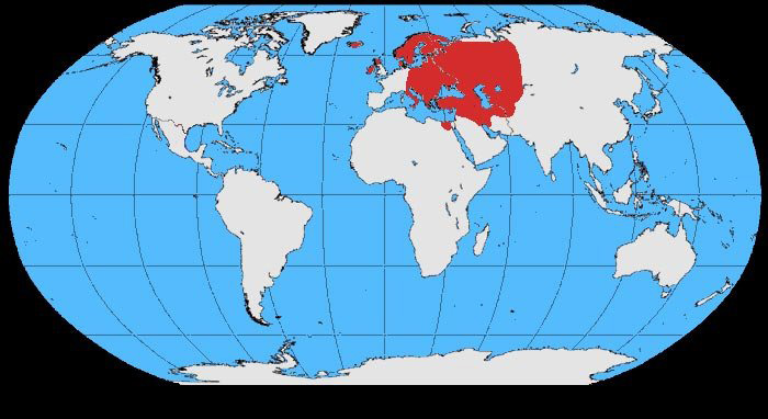 Foto: Hooded crow - distribuzione