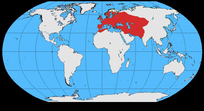 Foto: Taccola - distribuzione