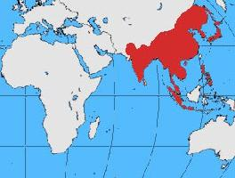 Foto: Corvo beccogrosso - distribuzione