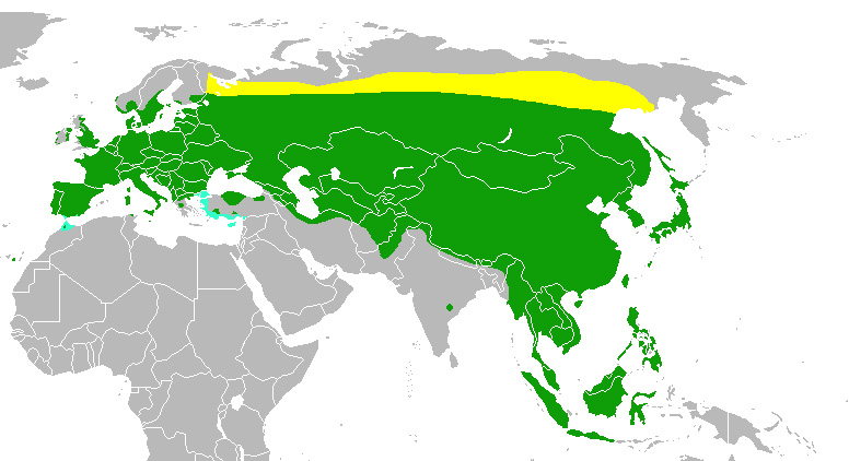 Foto: Eurasian tree sparrow - distribuzione