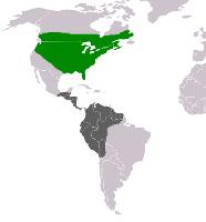 Foto: Tiranno orientale - distribuzione