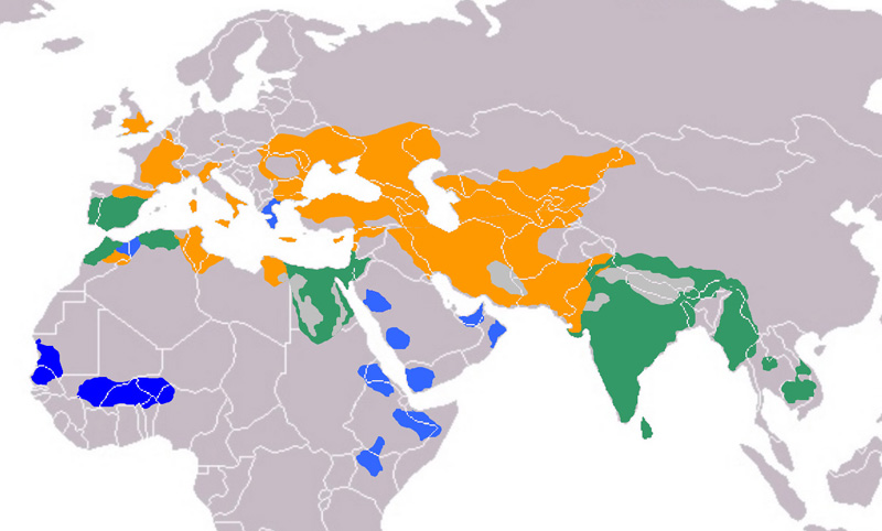 Foto: Occhione comune - distribuzione