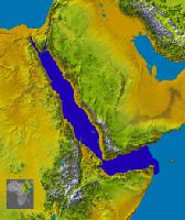 Foto: Gabbiano occhibianchi - distribuzione