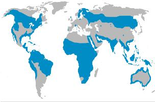 Foto: Falco pescatore - distribuzione