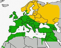 Foto: Common kestrel - distribuzione