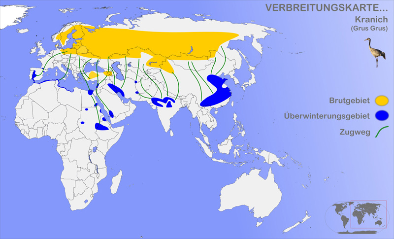 Foto: Gru cenerina - distribuzione