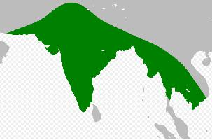 Foto: Spotted owlet - distribuzione