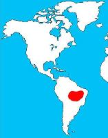 Foto: Ara giacinto - distribuzione