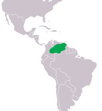 Foto: Orinoco crocodile - distribuzione