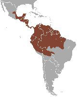 Foto: Opossum comune - distribuzione