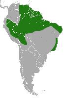 Foto: Opossum topo di linneo - distribuzione